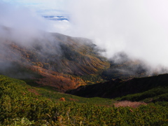 紅葉が襲われる