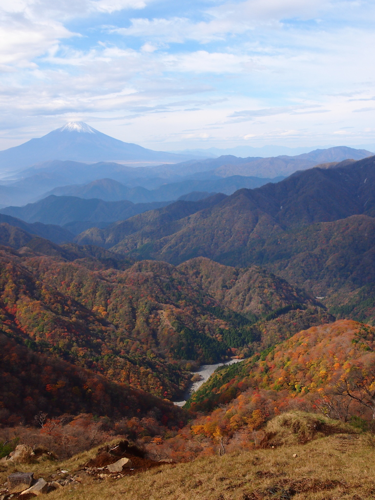 富士山を魅了する紅葉