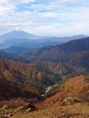 富士山を魅了する紅葉