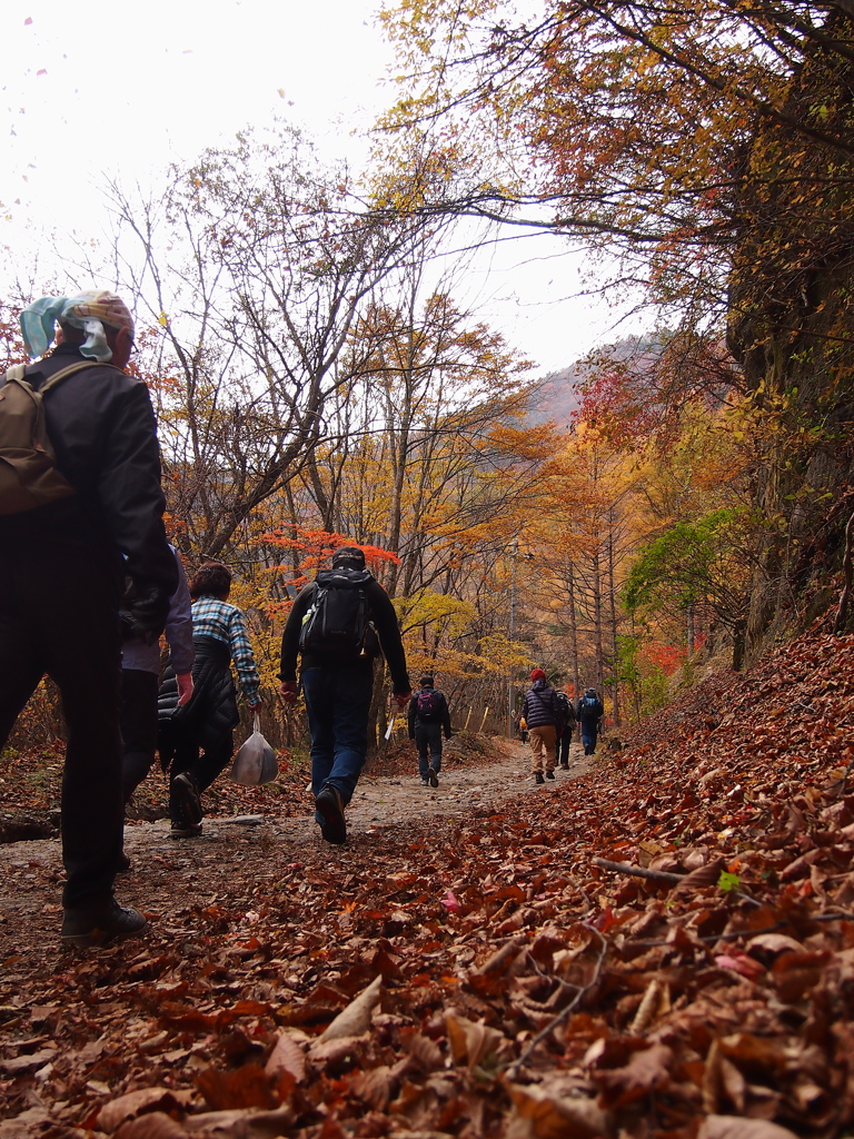 紅葉に誘われる山人