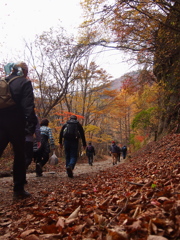 紅葉に誘われる山人