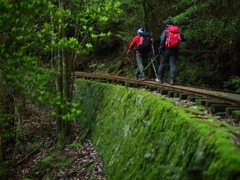 屋久島を歩く