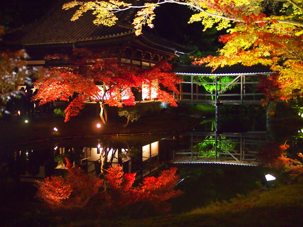 静寂と紅葉がおりなす絶景