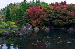 好古園の紅葉