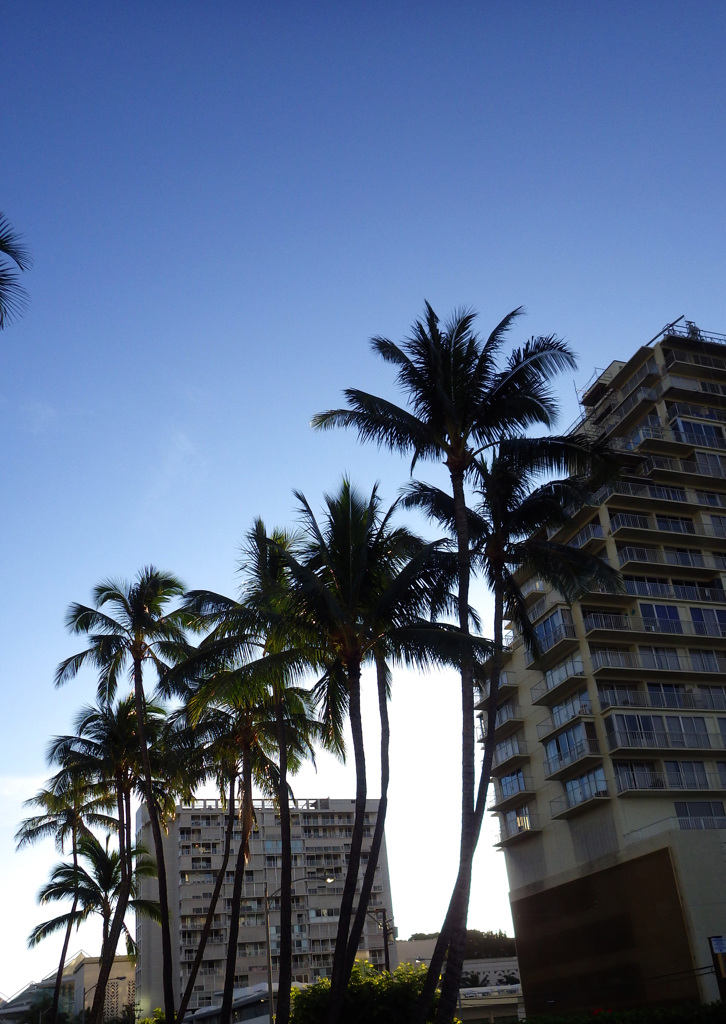 Hawaii 01