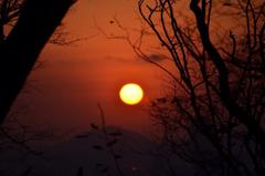 Red Sunset