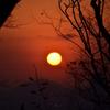 Red Sunset