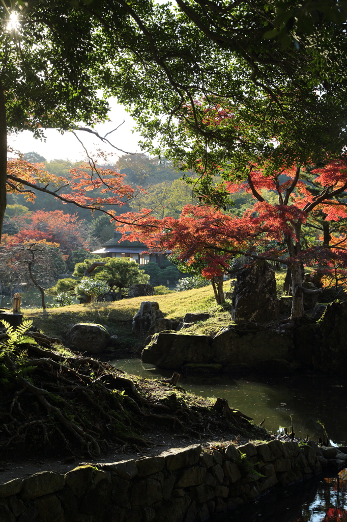 玄宮園