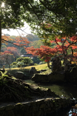 玄宮園