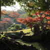 玄宮園