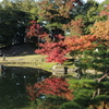 玄宮園