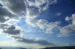 飛行機