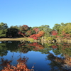 玄宮園