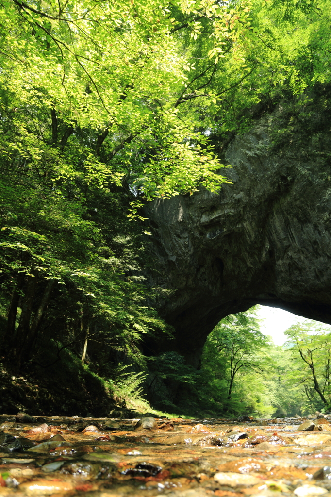 雄橋