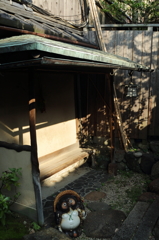狸