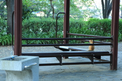 野良猫 座