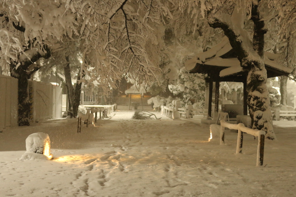 地元のお寺