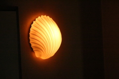 shell