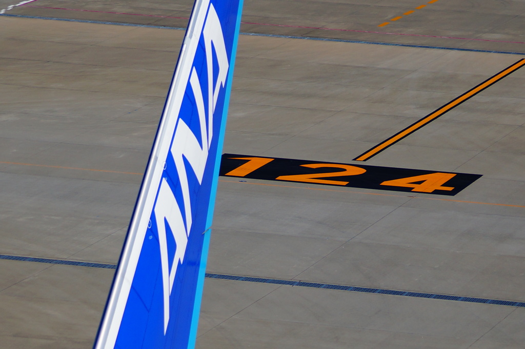 vertical tail