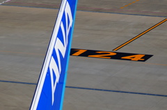 vertical tail