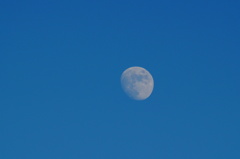 White Moon