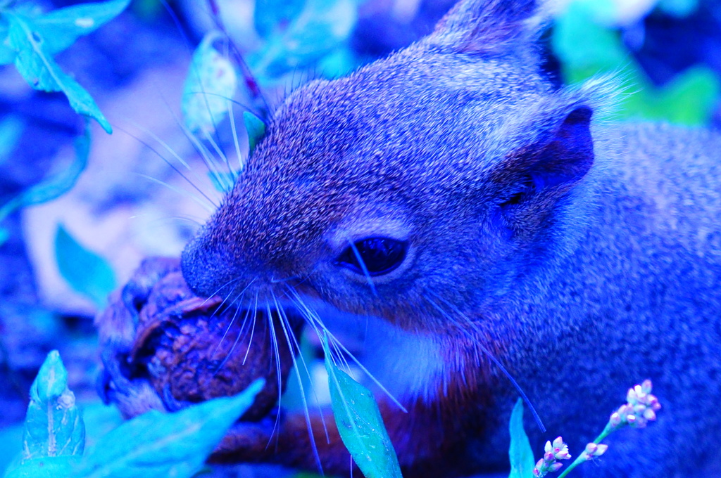 やっぱり青が好き