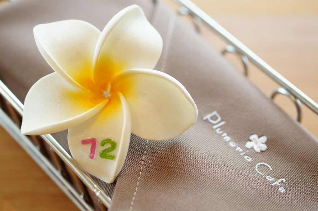 カトラリーケース