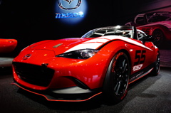 MAZDA ROADSTER