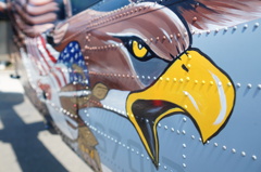 SABERHAWKS 