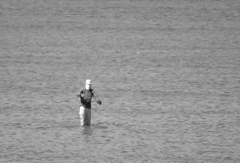 sea　cowboy