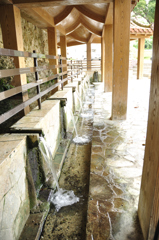 金式町の湧水