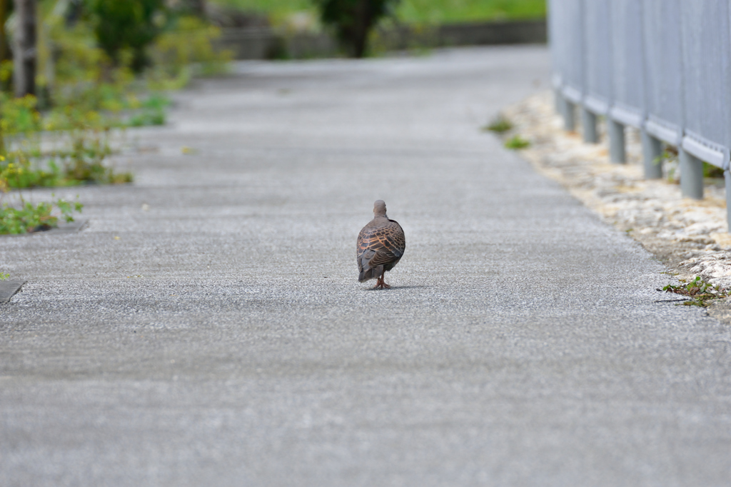 少し行ってくる！