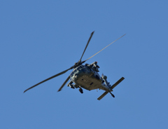 Black Hawk