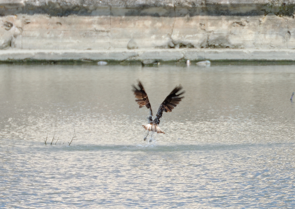 よっしゃ～！！