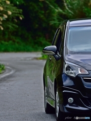 one`s own car