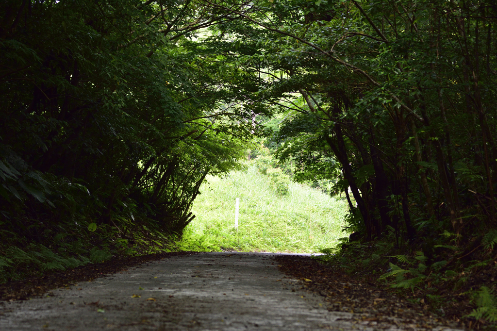 癒しのトンネル