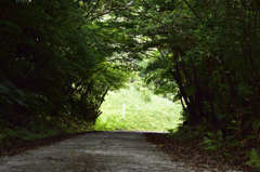 癒しのトンネル