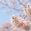 沼田公園