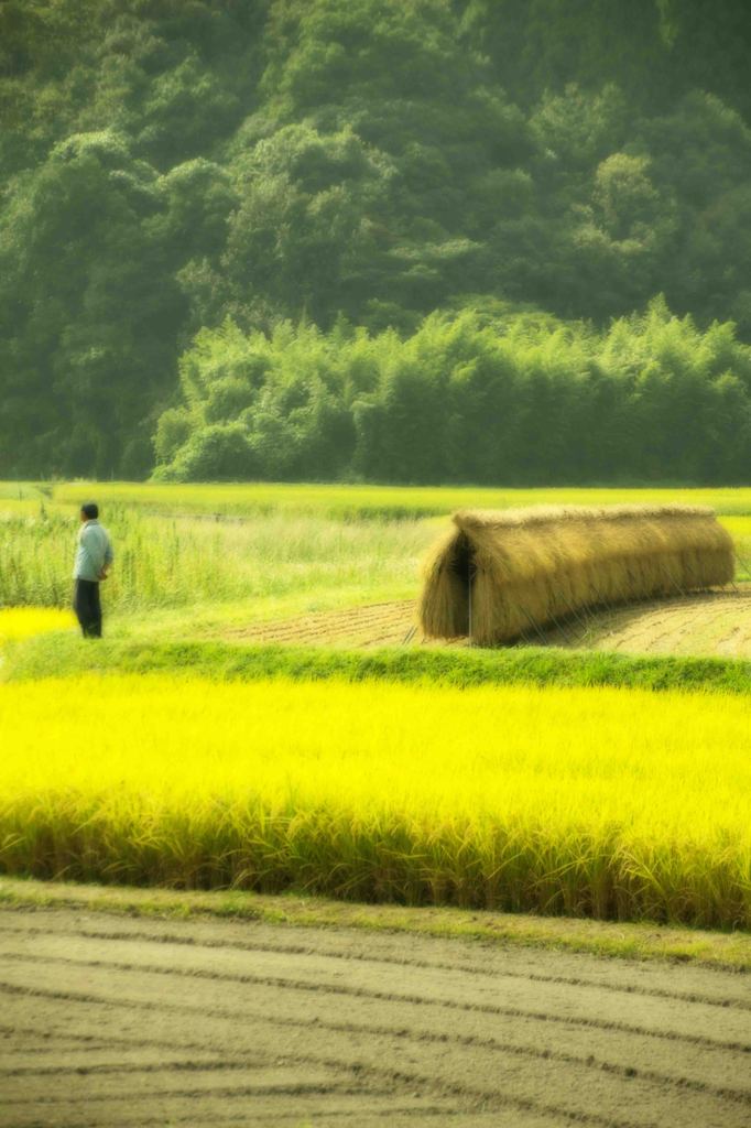 まだかい