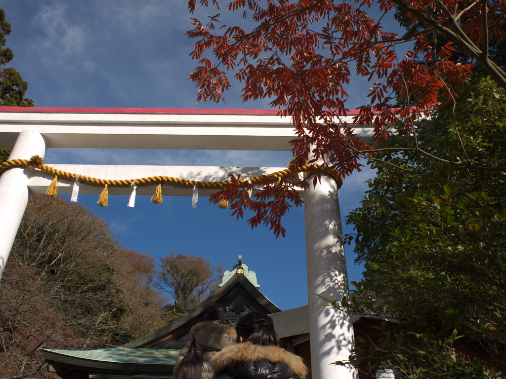 鎌倉06