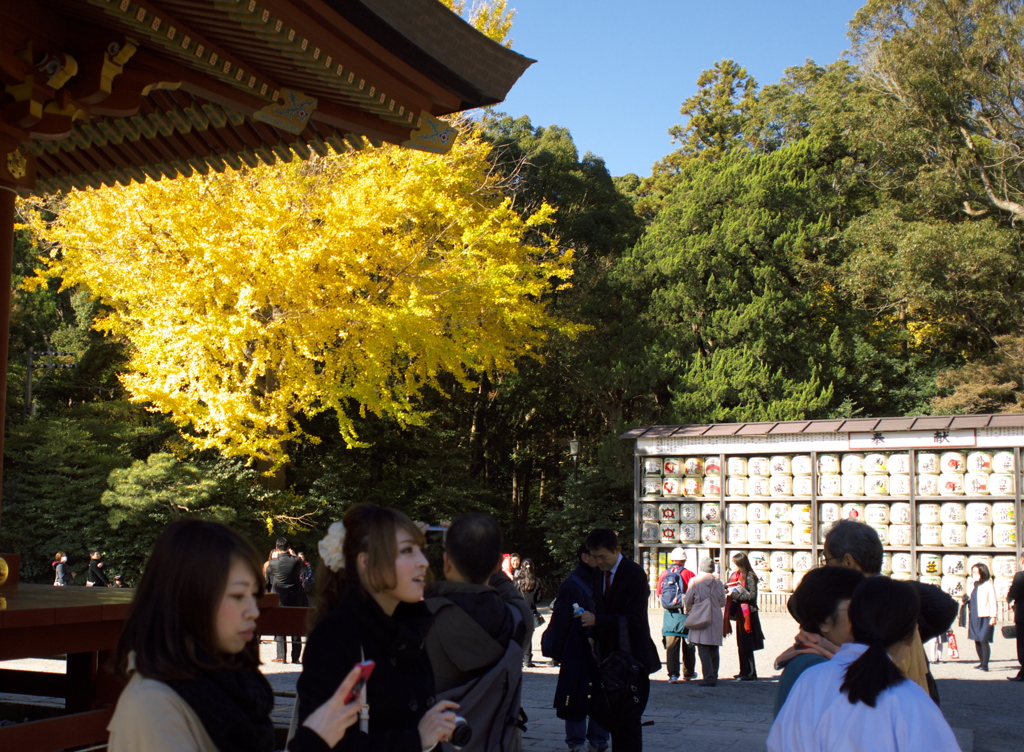 鎌倉01