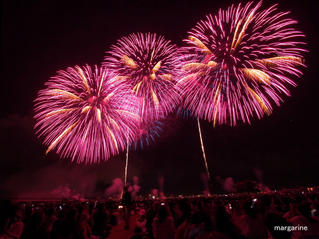 長岡まつり花火大会20180803-6