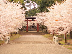 20140419