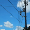 電信柱の夏
