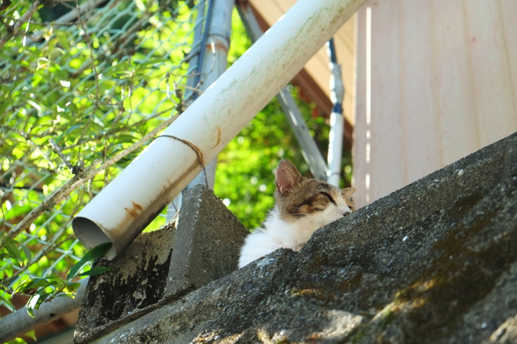 見つめるその先には...