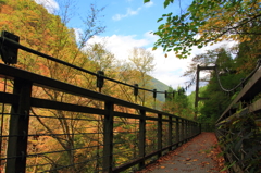 紅葉と吊り橋