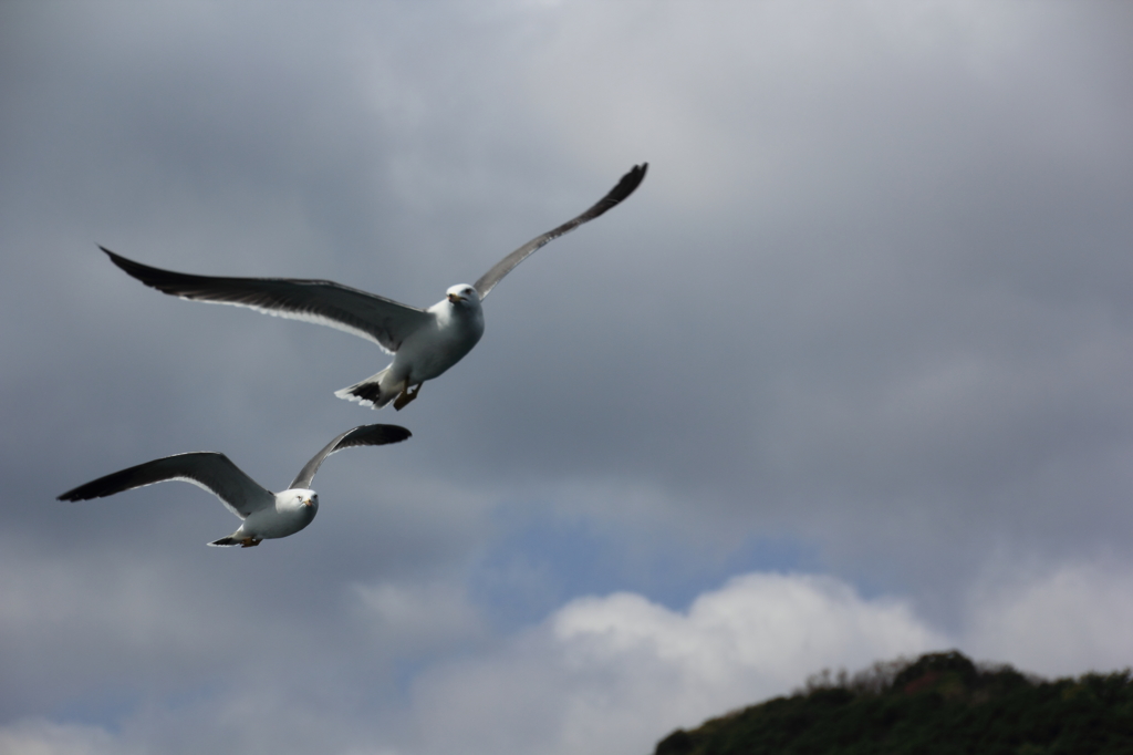 Rendezvous Flight
