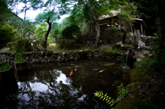 水車小屋のある景色