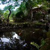 水車小屋のある景色