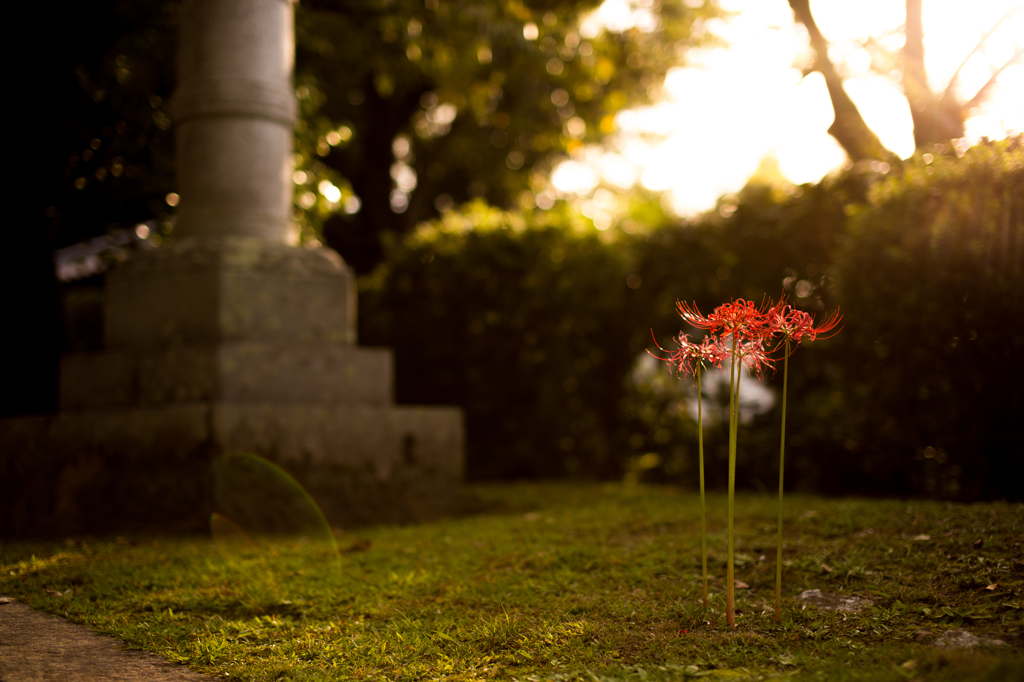 京都ぶらり旅－昼の部－（6/10）
